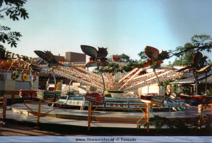FlyingSwing22.jpg (98635 bytes)