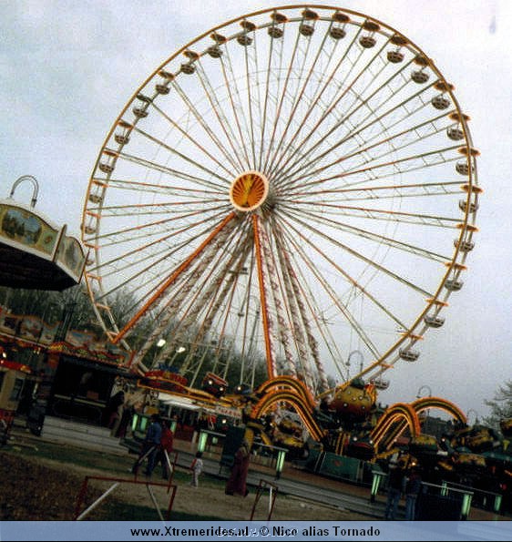 MovieStar.jpg (117651 bytes)