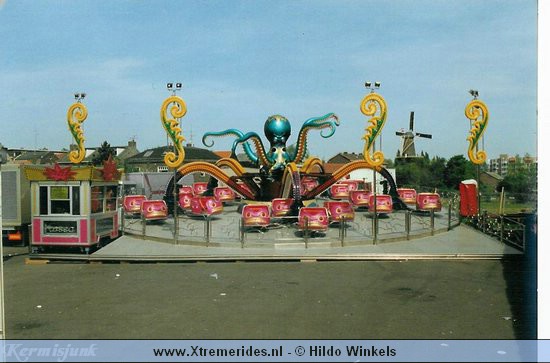 Polyp.jpg (56908 bytes)