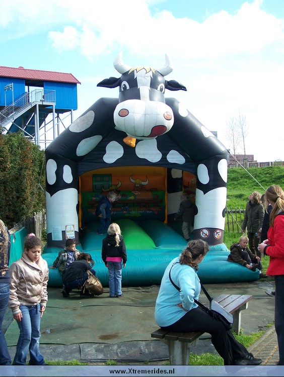 Drievliet2008 (67).jpg (123804 bytes)