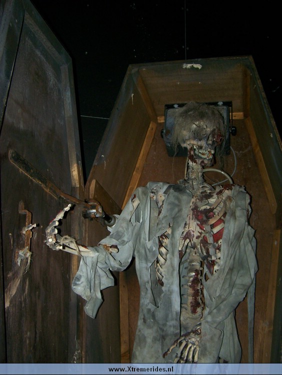 FortFun2008 (28).JPG (95956 bytes)