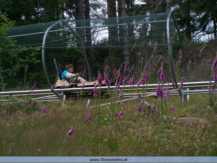 FortFun2008 (56).JPG (179937 bytes)