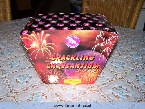 Craclking%20Chrysantium.JPG