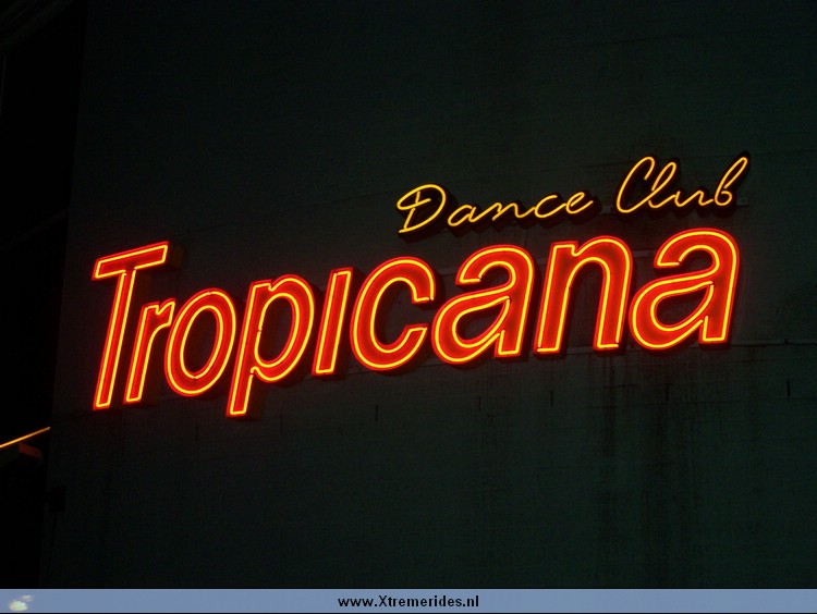 Troicana2008 (13).JPG (83879 bytes)