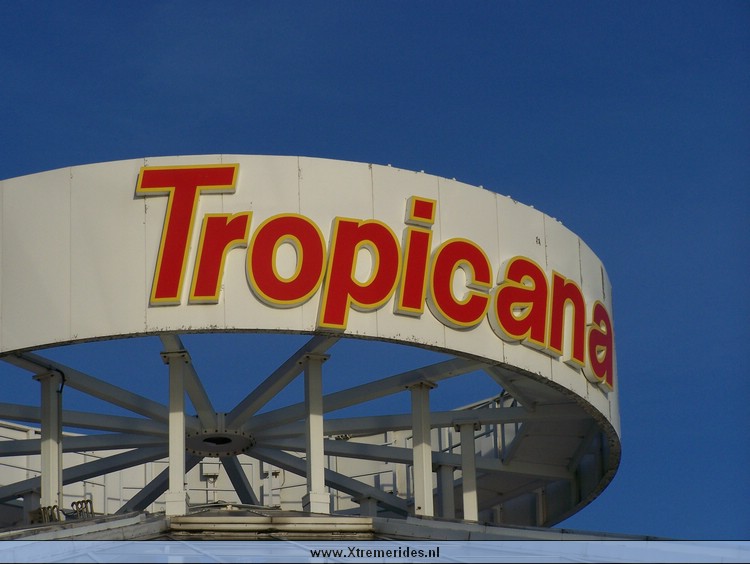 Troicana2008 (19).JPG (80611 bytes)