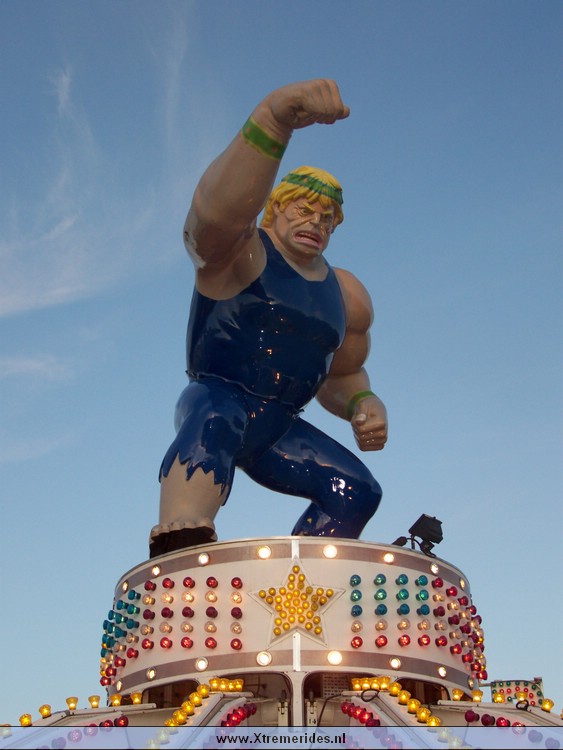 Stein2008 (8).jpg (80010 bytes)